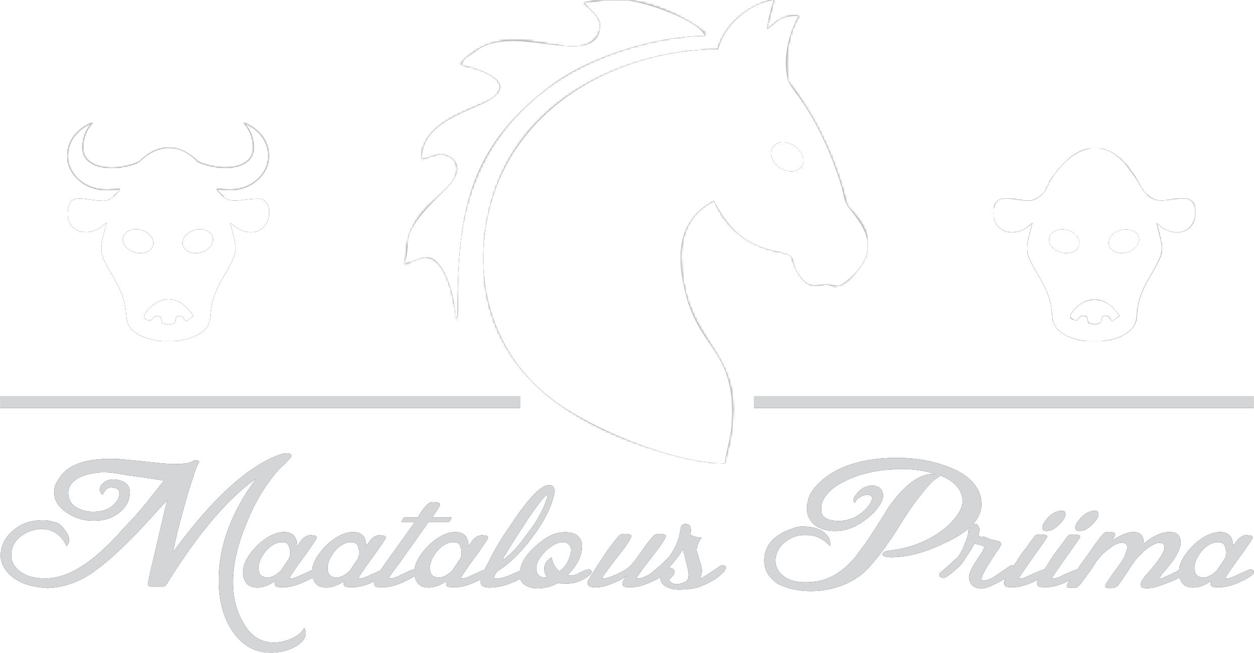 Maatalous Priima Oy